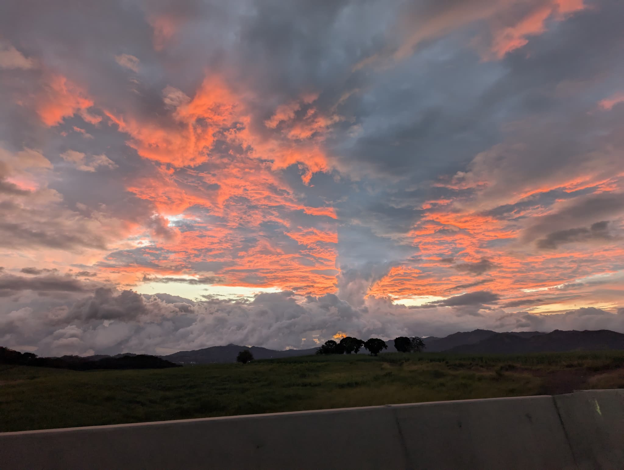 PXL_20250131_234703176_t3l27k